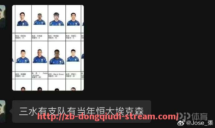 懂球帝直播-2012年火箭队完整阵容分析及球员表现点评