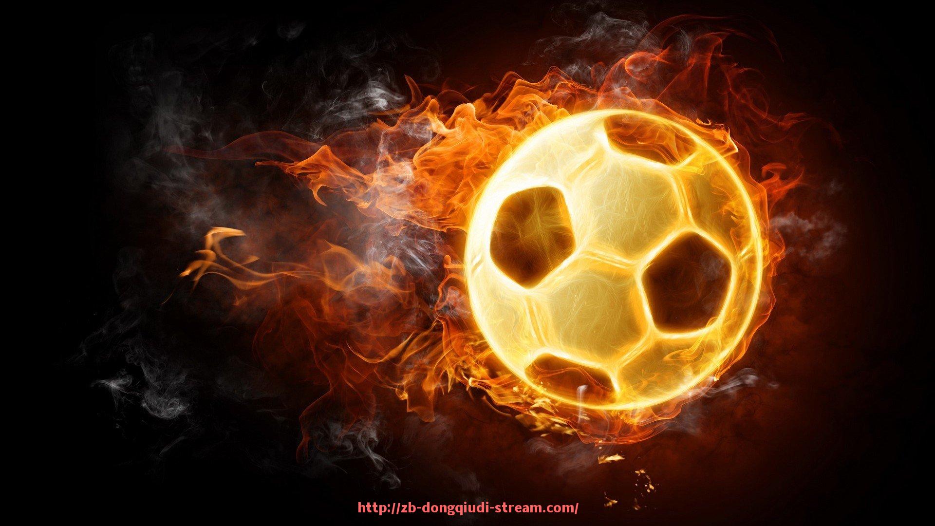 懂球帝直播-火箭队2014年球员名单及赛季表现分析