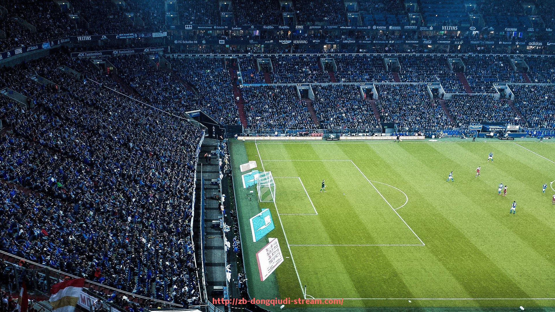 懂球帝直播-重庆球员在CBA的现役与退役数据统计