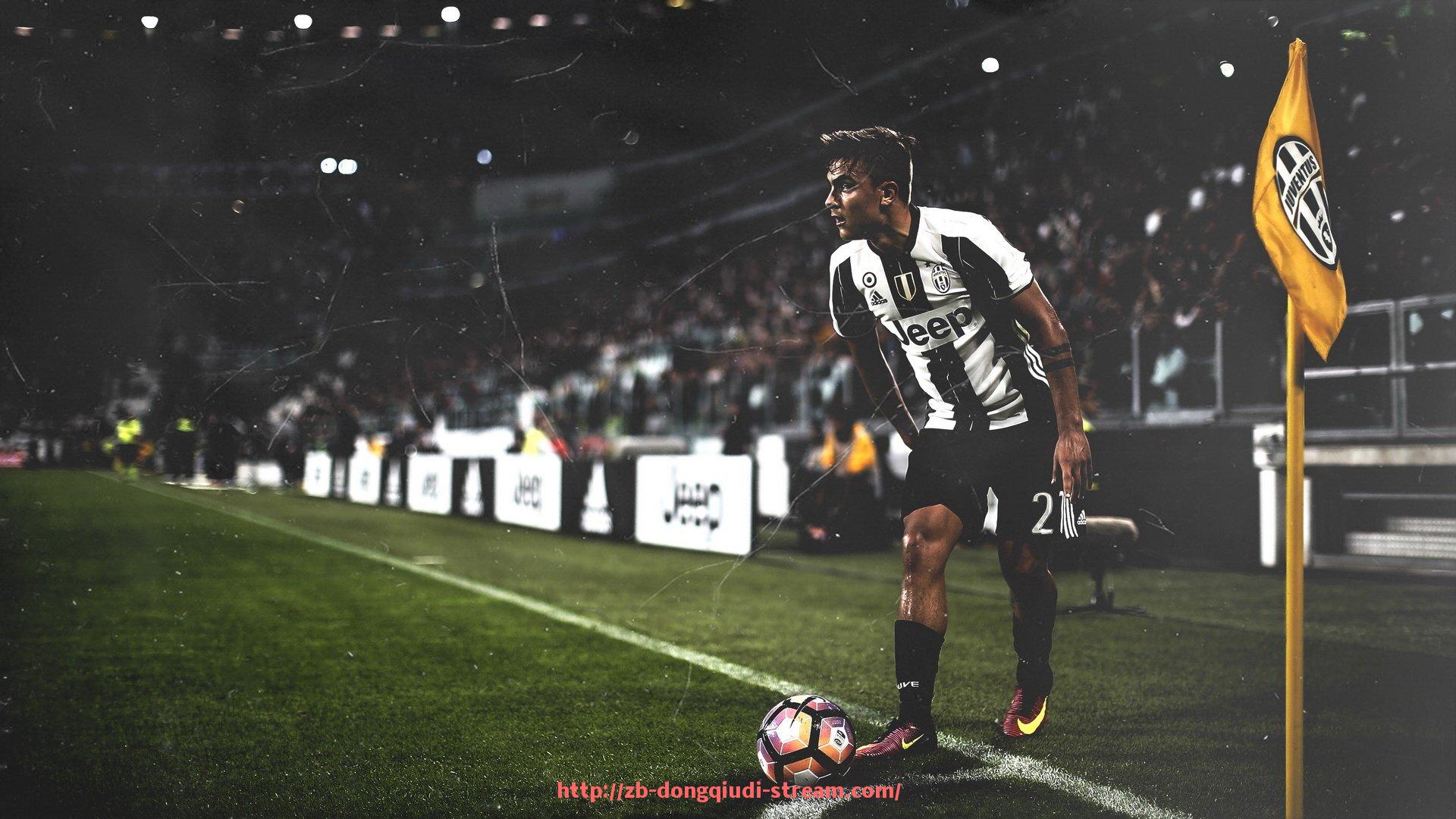 懂球帝直播-囚徒健身法配套器材购买地点及训练方案介绍